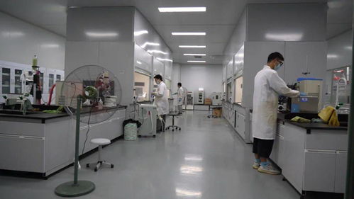 千帆競(jìng)發(fā)浪潮涌 三門以通信技術(shù)開發(fā)為抓手，全力打造接滬融甬先行區(qū)