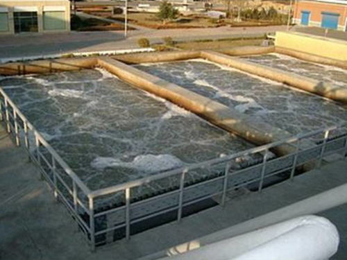 生物膜法 新型生物處理技術(shù)的創(chuàng)新引擎