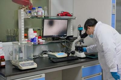 以生物造萬物 合成生物產(chǎn)業(yè)化提速，開啟生物技術(shù)研發(fā)新紀(jì)元